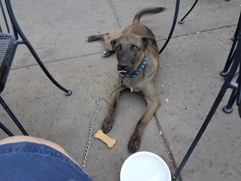 Toby!